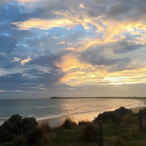 艳星丹尼尔斯吞精视频
